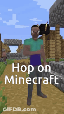 Man In Green Shirt In Minecraft GIF