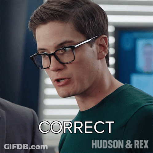 Man In Green Shirt Saying Correct Hudson Rex GIF
