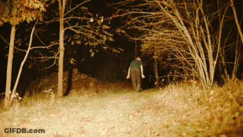 Man In Green Shirt Walking Through Dark Forest At Night GIF