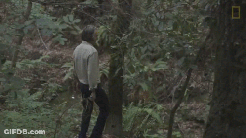 Man In Green Shirt Walking Through Dark Forest At Night GIF