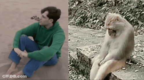 Man In Green Sweater Next To Monkey GIF