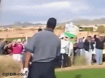 Man In Grey Shirt Holding Signs In Crowd GIF