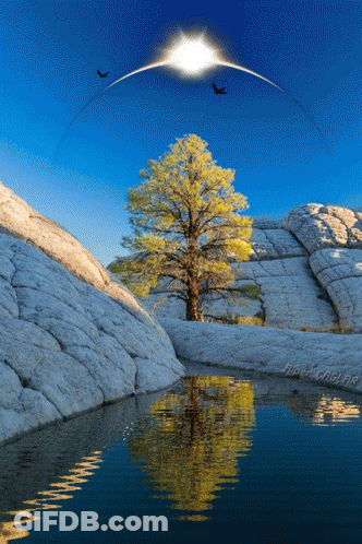 Man In Grey Shirt Standing On Frozen Lake GIF