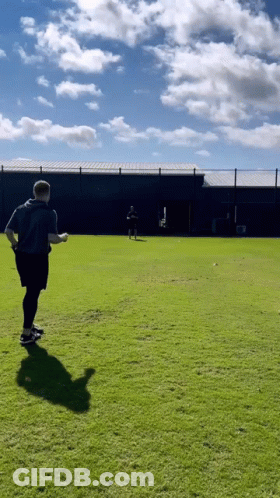 Man In Grey Shirt Standing On Green Field GIF