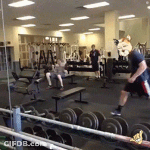 Man In Gym With Tiger Mask On Head GIF