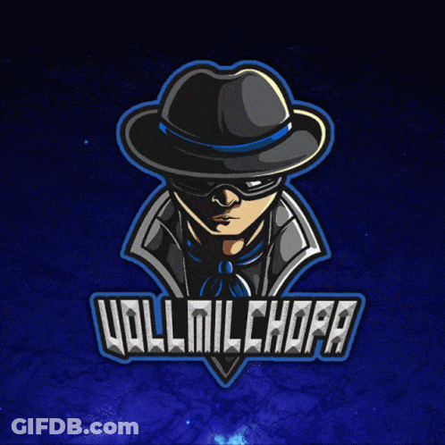 Man In Hat And Mask Hollmilchopa GIF
