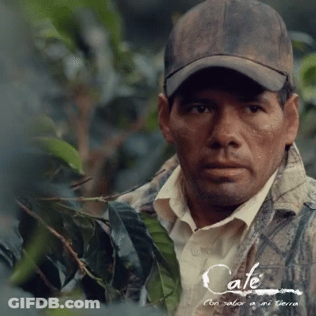 Man In Hat And Plaid Jacket Saying Cafe GIF