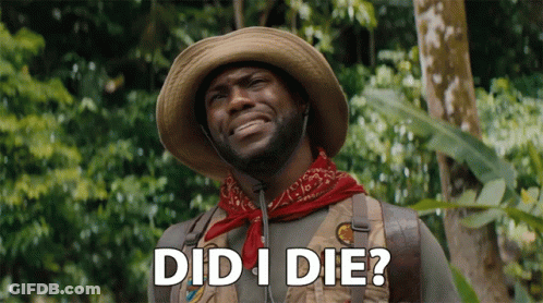 Man In Hat And Red Bandana Did I Die GIF