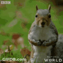 Man In Hat And Sweater Says Its Beautiful Mitz GIF