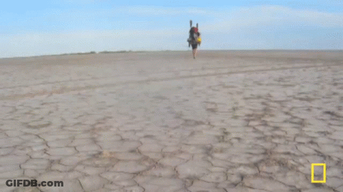 Man In Hat Dancing GIF
