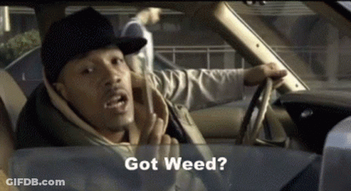 Man In Hat Driving Car Says Got Weed? GIF