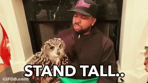 Man In Hat Holding Owl GIF