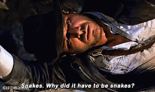 Man In Hat Lying Down Snakes Why Did It Have To Be Snakes GIF