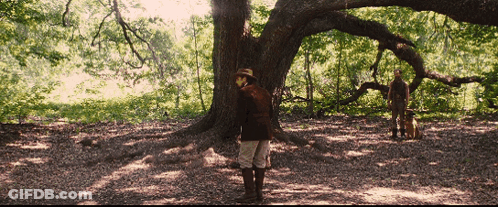 Man In Hat Next To Tree In Forest GIF