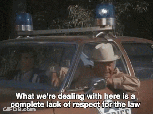 Man In Hat Police Car Says What We're Dealing With GIF