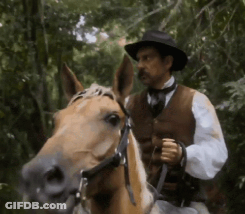 Man In Hat Riding Horse In Woods GIF