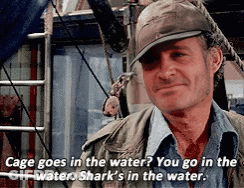 Man In Hat Says Cage Goes In Water Sharks GIF