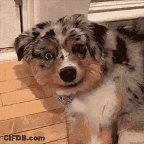 Man In Hat Smiling Hand On Chest GIF