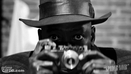 Man In Hat Taking Picture With Camera Spider Noir GIF