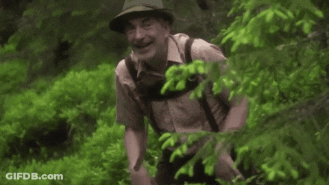 Man In Hat Walking Through Forest GIF