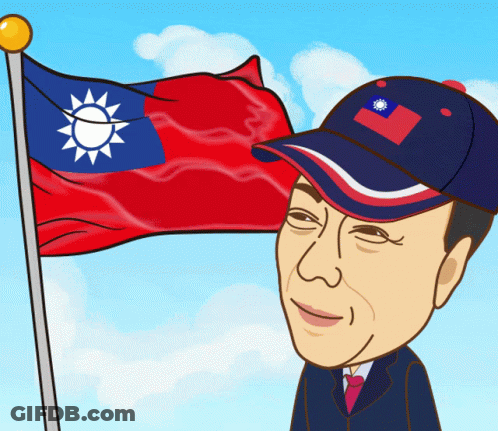 Man In Hat With Flag GIF