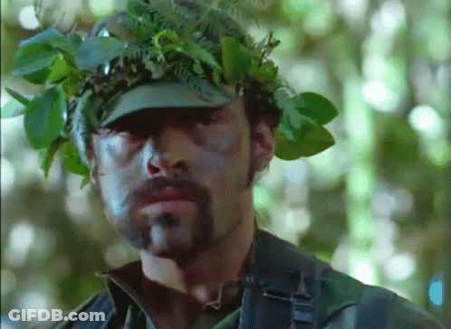 Man In Hat With Leaves GIF