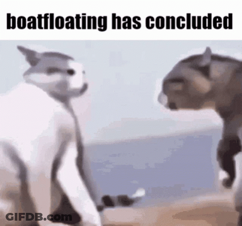 Man In Hat With Letter W In Crowd GIF