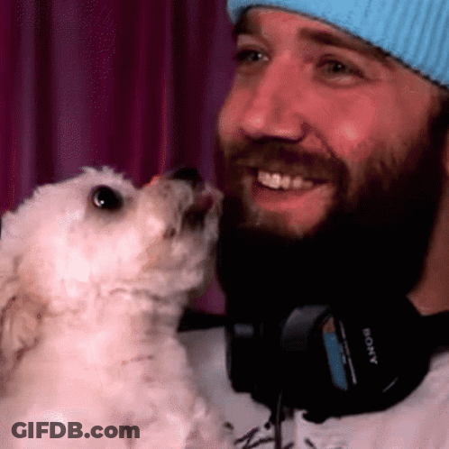 Man In Headphones And Blue Hat Kissing White Dog GIF