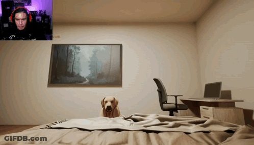 Man In Headphones Playing Video Game With Dog GIF
