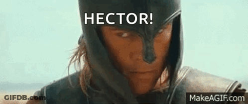 Man In Hector Helmet GIF