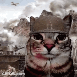 Man In Helmet Saying Huh GIF
