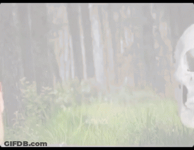Man In Hooded Jacket With White Mask Who's The Vote GIF