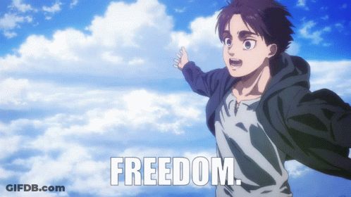 Man In Hoodie Flying With Freedom GIF