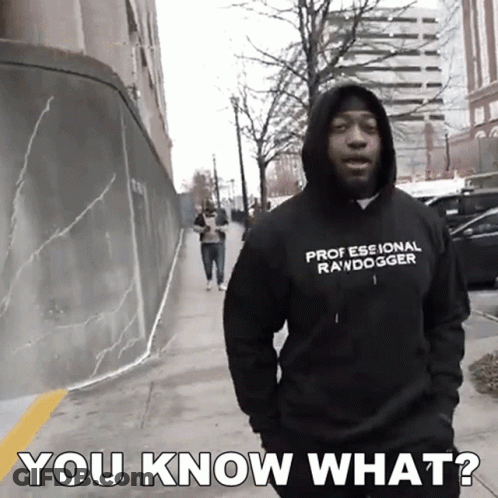 Man In Hoodie Saying Professional Rawdigger GIF