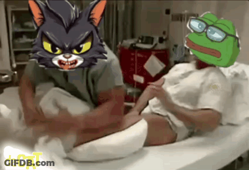 Man In Hospital Bed With Cat And Frog On Heads GIF