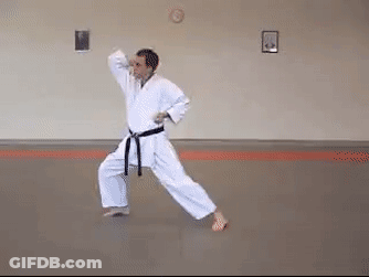 Man In Karate Uniform With Black Belt GIF