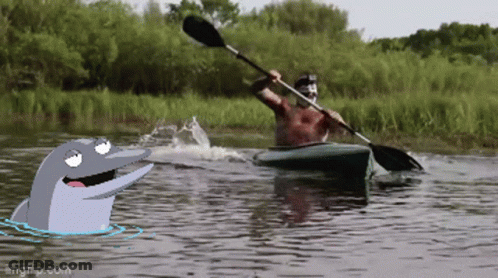 Man In Kayak With Dolphin Behind GIF