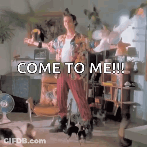 Man In Living Room With Cats GIF