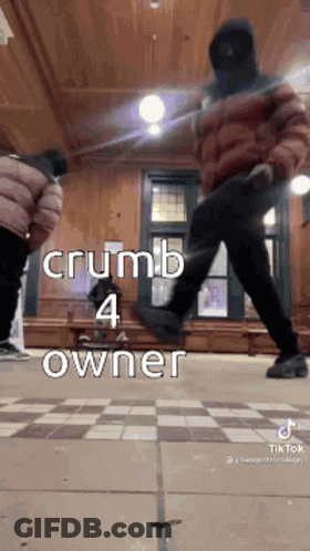 Man In Mask Dancing With Crumb 4 Owner On Floor GIF