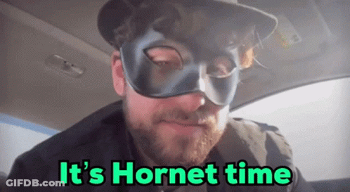 Man In Mask In Car Saying It's Hornet Time GIF