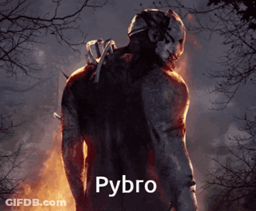 Man In Mask In Front Of Fire With Pybro GIF