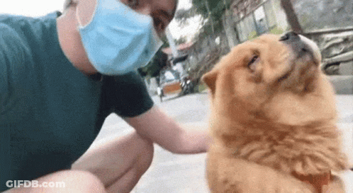 Man In Mask Petting Dog On Street GIF