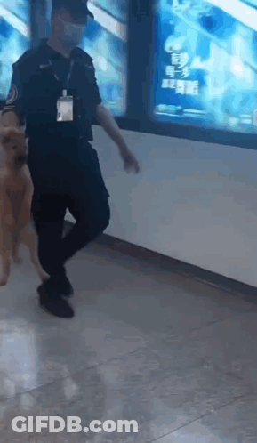 Man In Mask Walking Dog In Hallway GIF
