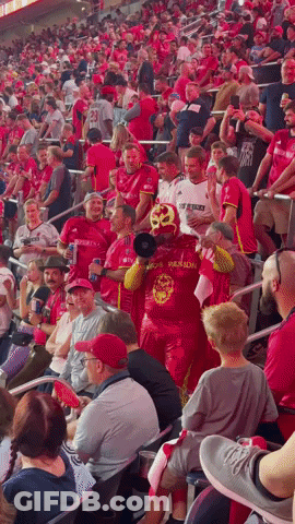 Man In Mask Wearing Phoenix Shirt In Crowd GIF