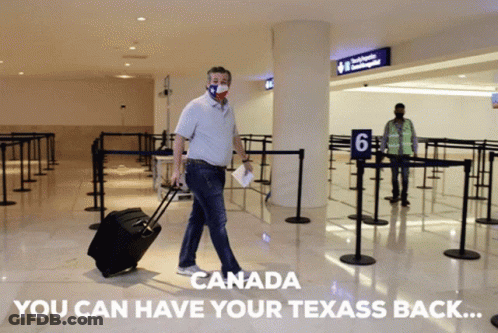 Man In Mask With Suitcase Walking Through Airport Saying Canada You Can Have Your T GIF