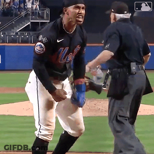 Man In Mets Jersey On Baseball Field With Referee GIF