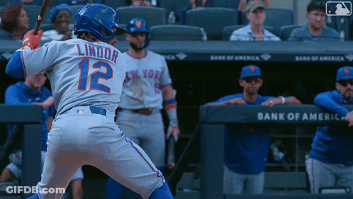 Man In Mets Jersey On Baseball Field With Referee GIF