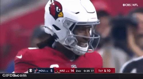 Man In Miami Dolphins Vest In Front Of Crowd GIF
