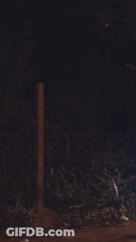 Man In Miami Jersey Carrying Child GIF
