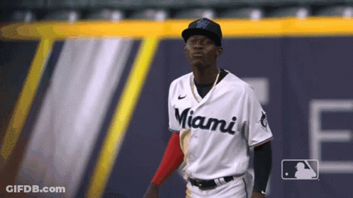 Man In Miami Jersey GIF